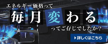 エネルギー価格って毎月変わるってご存じでしたか？