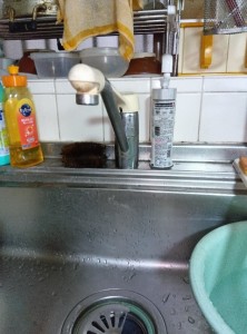 台所水栓
